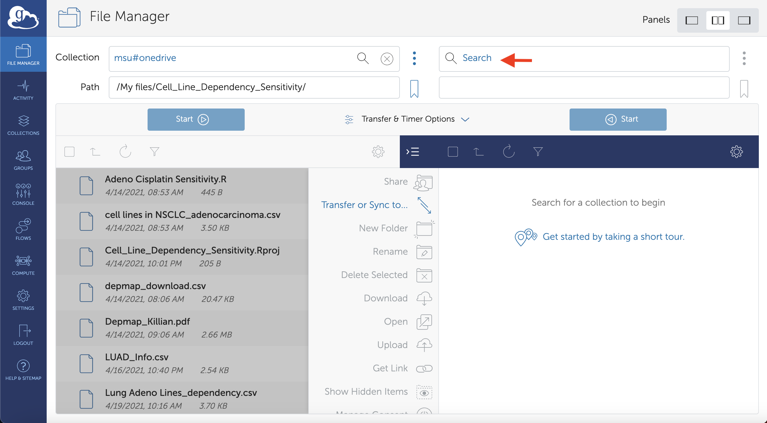 Select MSU HPCC Endpoint