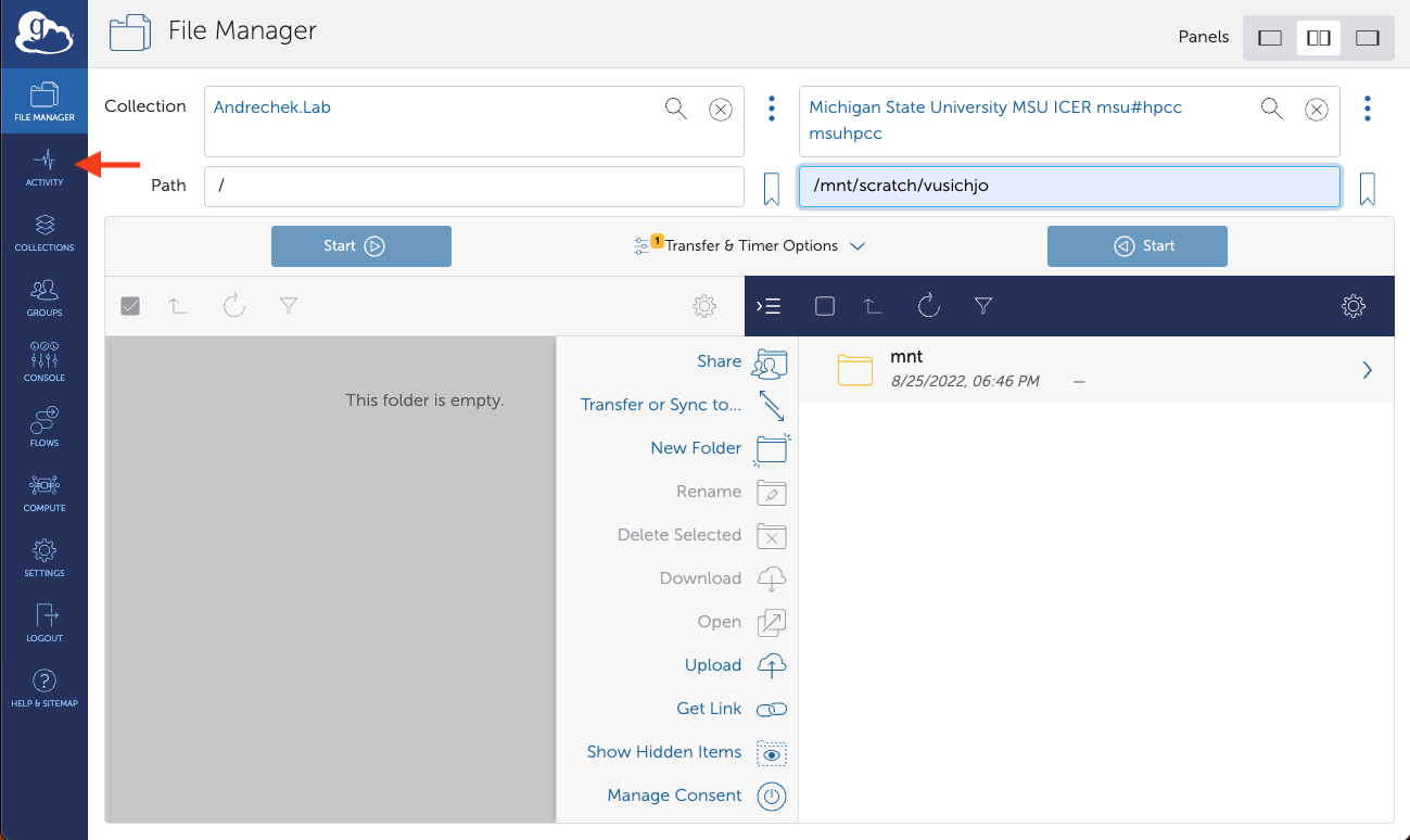 Monitor Transfer Activity